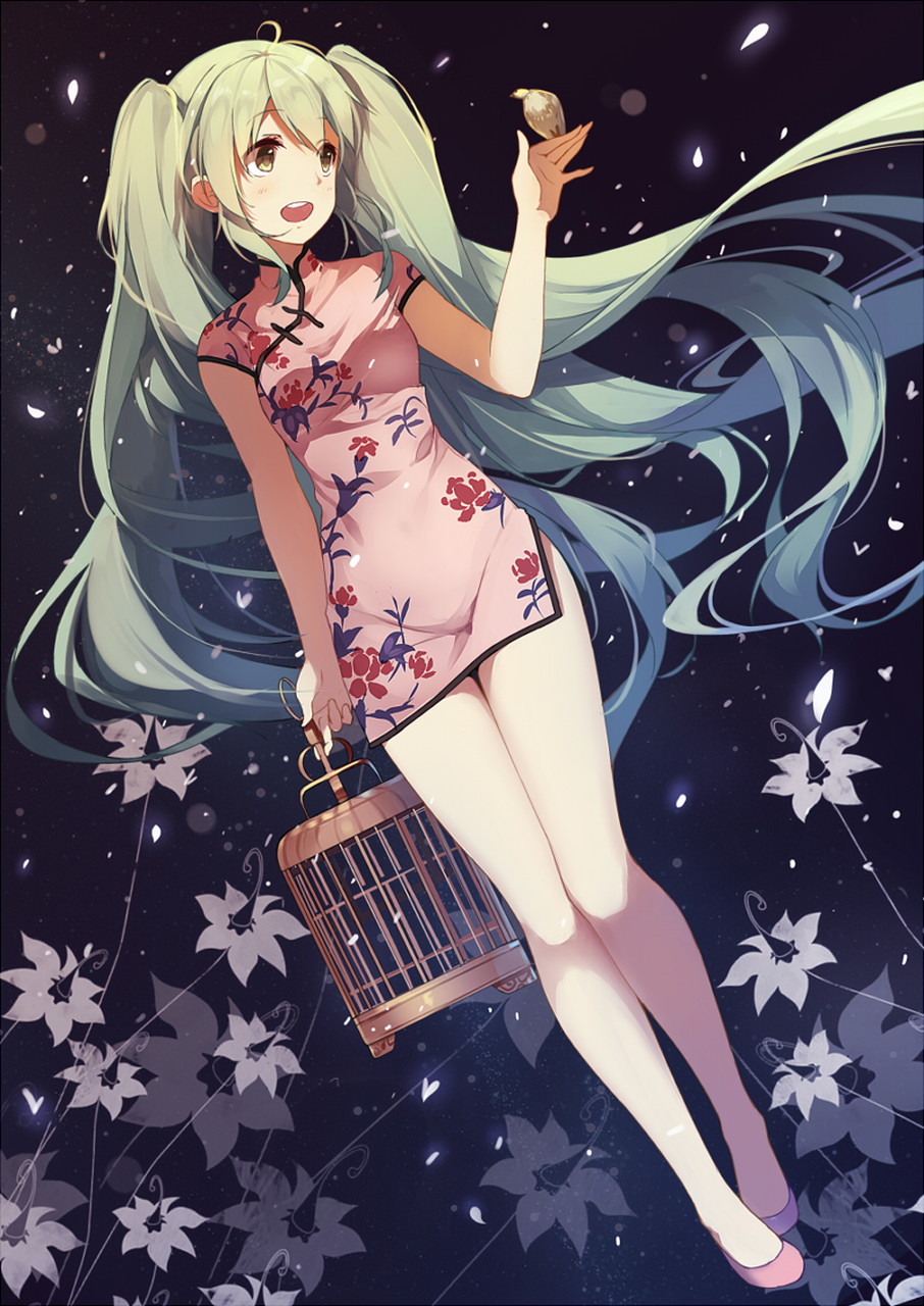 zh-apic-in 初音未来 (21)
